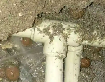 天山测漏水多少钱