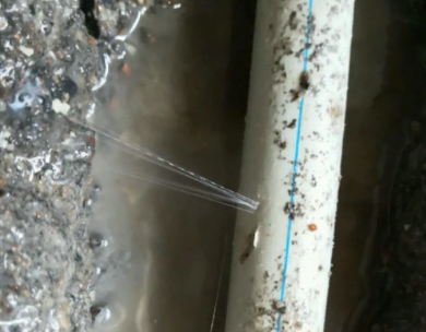 天山测漏水哪家好