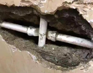 天山测漏水哪家好