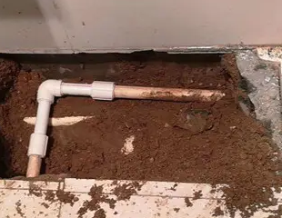 天山测漏水哪家好