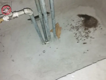 天山卫生间测漏水价格明细