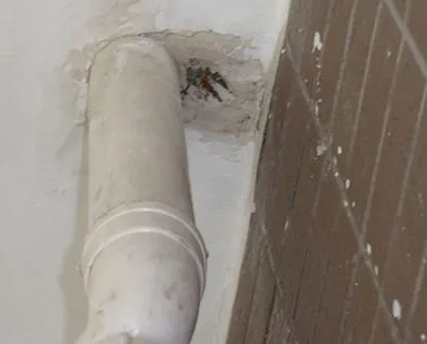 天山漏水检测哪家好